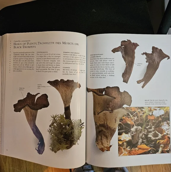 Mushroom Guide and Identifier Book - Picture 6 of 8